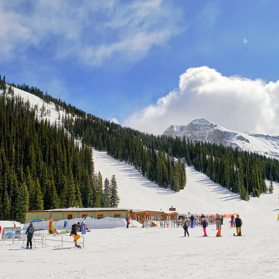 Goat’s Eye Dining Hero thumbnail